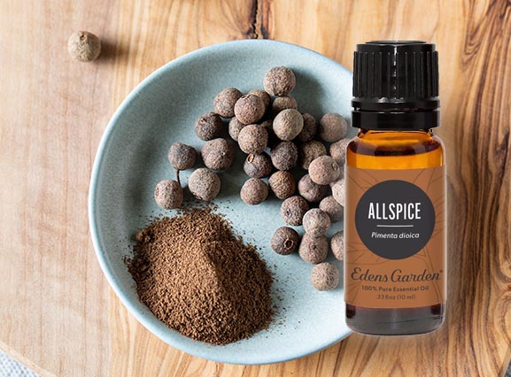 4 Amazing Uses for Allspice Essential Oil You Didn’t Know About!