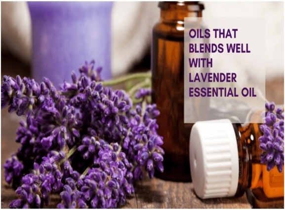What Blends Well With Lavender Essential Oil?